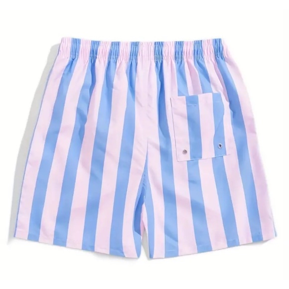BNWT Isabelle LaRue Men's Light Blue and Pink Stripe Swim Shorts - Medium - Picture 3 of 4